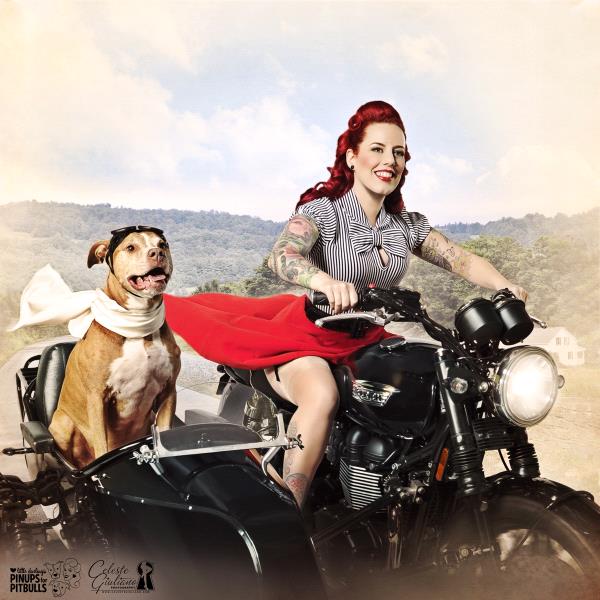 /Images/uploads/Pinups for Pitbulls/greatestpits/entries/13113thumb.jpg